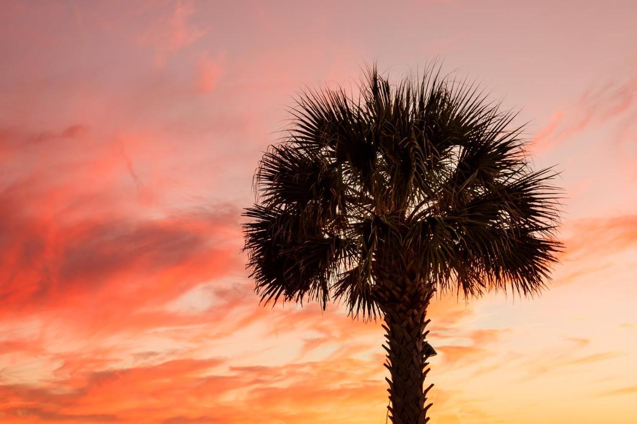 1314 Pelican Watch - Seabrook Island - Beachfront 5 Star Condo - Fido Friendly Екстер'єр фото