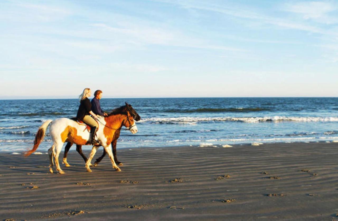 1314 Pelican Watch - Seabrook Island - Beachfront 5 Star Condo - Fido Friendly Екстер'єр фото